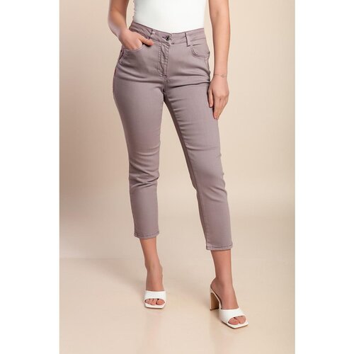 Fenzy Plus Size Bombažne Hlače, Vijola Cene