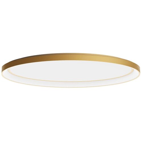  Redo 01-3810 - LED prigu&scaron;iva plafonska svetiljka NOBU LED/80W/230V zlatna Cene