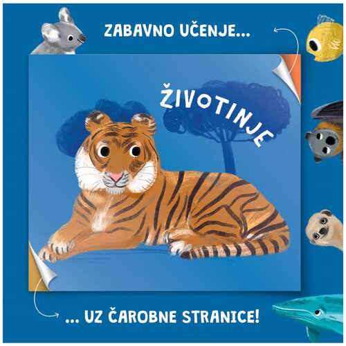 Lusio Slikovnica Zabavno učenje, Životinje Slike