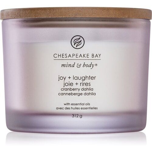 Chesapeake Bay Candle Mind & Body Joy & Laughter mirisna svijeća I. 312 g Cijene