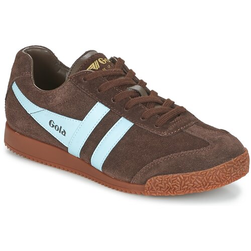 Gola harrier smeđa Slike