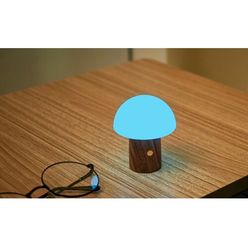 Gingko LED namizna svetilka v beli in temni naravni barvi (vi&amp;scaron;ina 7 cm) Alice Mushroom &amp;ndash; Slike