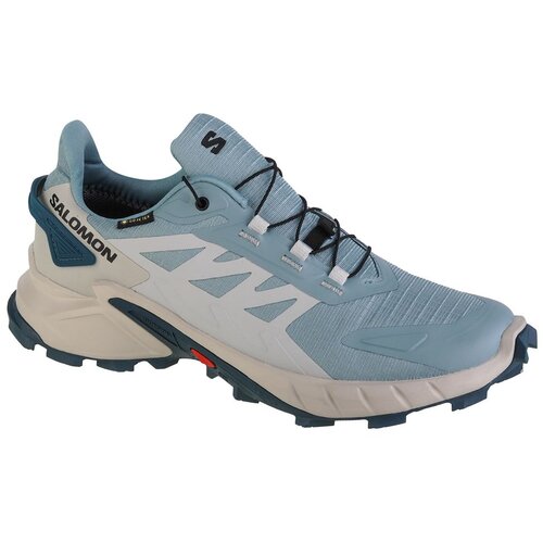 Salomon supercross 4 gtx w 471201 Cene