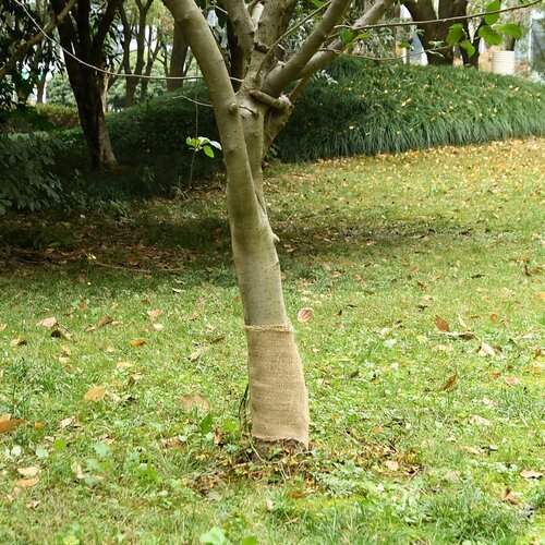  Rola jute 0,25x10 m 100 % juta 200 g/m&amp;sup2; Slike