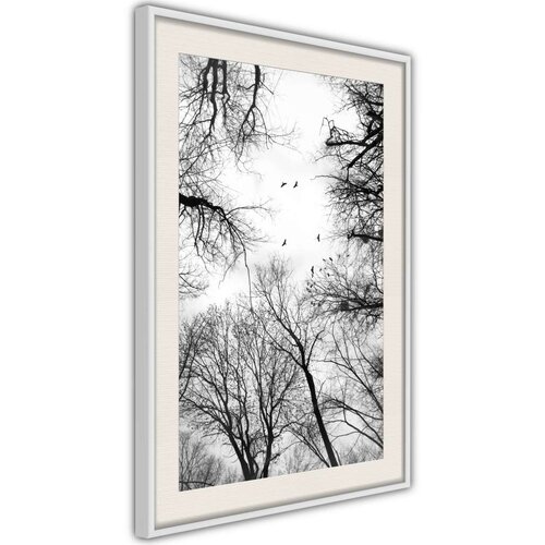  Poster - Treetops 20x30 Slike
