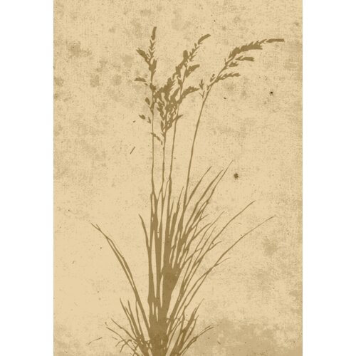 Venture Home poster Plant Art 70 × 100 cm, bež Cene