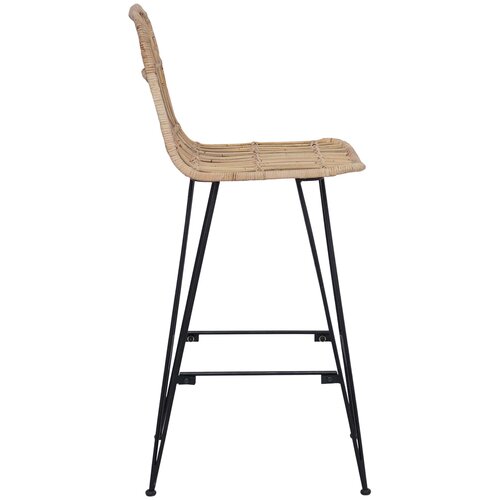  stolica 2 pcs Prirodna 44 x 55 x 109 cm Ratan i Čelik Slike