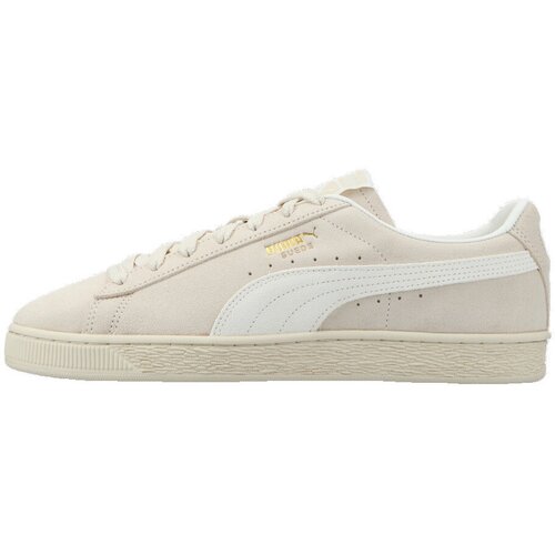 Puma Modne superge Baskets charles f. stead shoes daim ash gray/frosted ivory Siva Slike