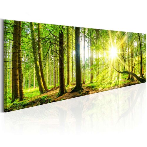  Slika - Majestic Trees 120x40 Slike