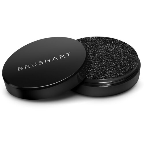 BrushArt Professional Powder colour switch Suha spužva za čišćenje četkica 1 kom Cene