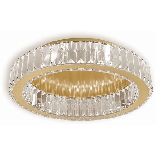 Toolight Luster APP1722-C 50cm Brush Gold Slike