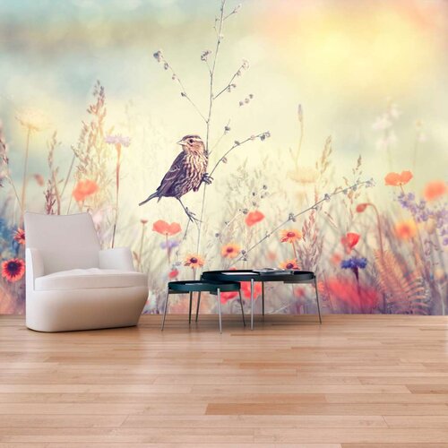  Samoljepljiva foto tapeta - Field Bird 343x245 Slike
