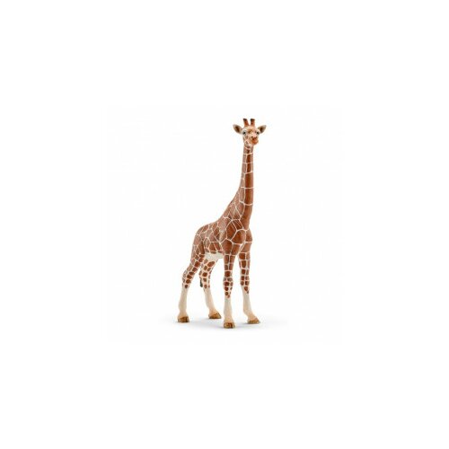 Schleich igračka Žirafa ženka 14750 Cene