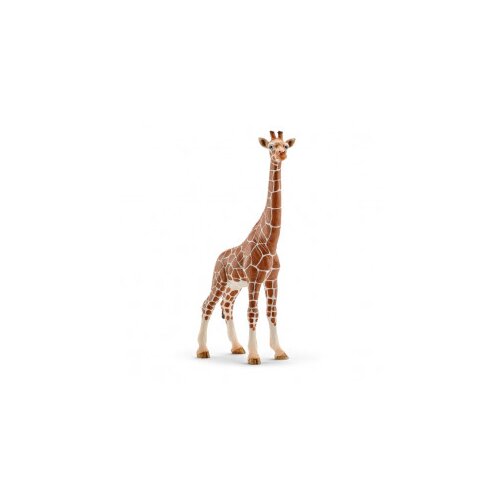 Schleich živalska figura samica žirafe Cene