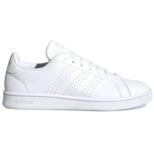 Adidas Nizke superge Advantage Base Bela Cene