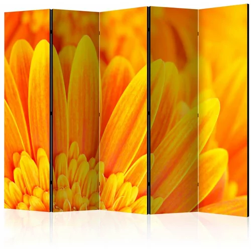  Paravan u 5 dijelova - Yellow gerbera daisies II [Room Dividers] 225x172
