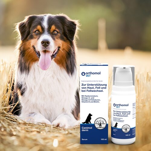 Pro Nutrition Orthomol VET Canimol Derm im Pumpspender 100ml Cene
