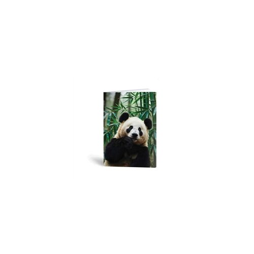Rucksack Only Bilježnica A6 panda, 40 listova Cijene