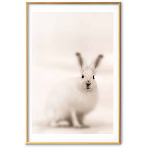  Plakat - Fearful Look 60x90 Zlatni okvir s margom Slike