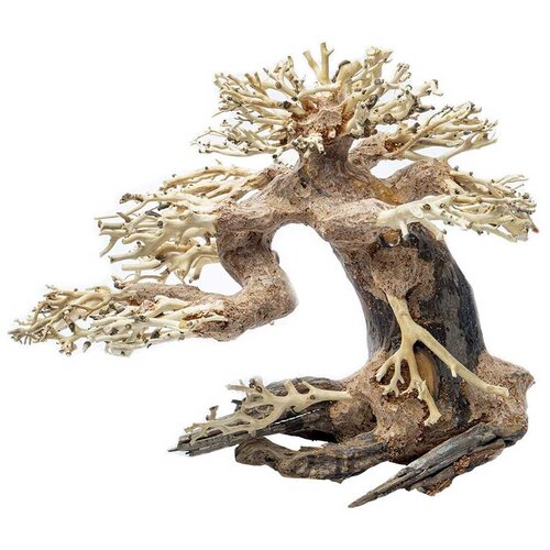 Akvarijum Centar Bonsai drvo za akvarijum Cene