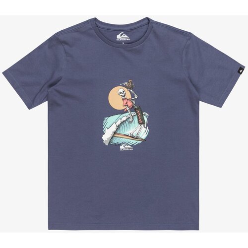 Quiksilver Boys' T-shirt NEVERENDING SURF Cene