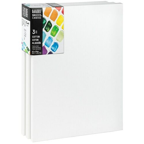 LIQUITEX Basics Slikarsko platno sa drvenim okvirom (50 x 40 x 1,8 cm, Pamuk, Trostruko grundirano) Cijene
