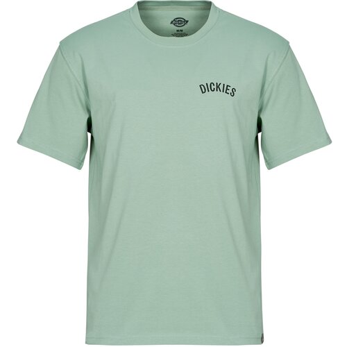 Dickies Majice s kratkimi rokavi SNAKE SS TEE Zelena Slike
