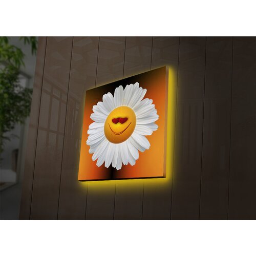 Wallity Slika sa LED osvetljenjem 2828DACT-41, 28x28 cm Cene