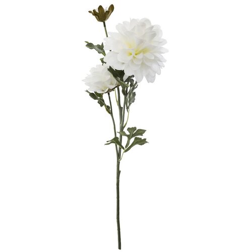 Atmosphera UMJETNO CVIJEĆE DALIJA 62CM PES/PE BIJELA Cijene