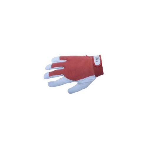 PREVENT RUKAVICE GOLF BOX U BOJI Cijene
