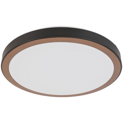 Novel stropna led-svetilka 39/8 cm Slike