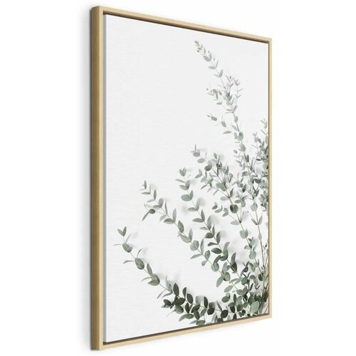  Slika - Eucalyptus Parvifolia (1 Part) Vertical 80x120 Cene