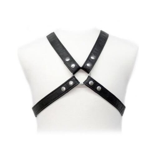 LEATHER BODY BODY LEATHER BASIC HARNESS IN GARMENT Cijene