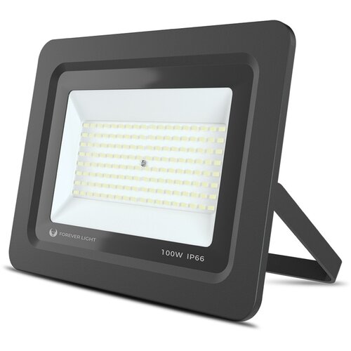 Forever LED reflektor PROXIM II 100W 6000K Cene