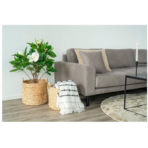 House Nordic Ko&amp;scaron;are v kompletu 2 ks iz vodne hijacinte &amp;oslash; 35x37 cm Passo &amp;ndash; Slike