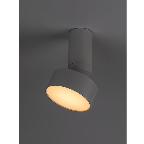 Rabalux spot lampa Ovidia, Nadgradna, Podesiva, LED, 10W, 3000K, Bela Slike