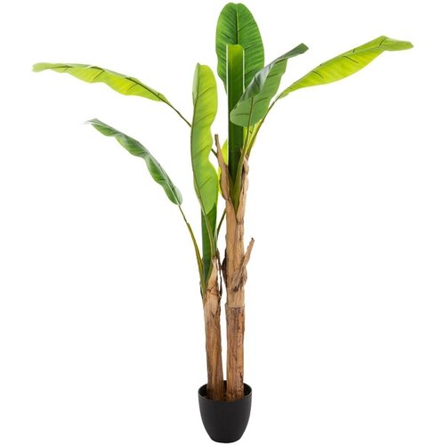 Atmosphera dekorativna biljka banana drvo h160 Cene