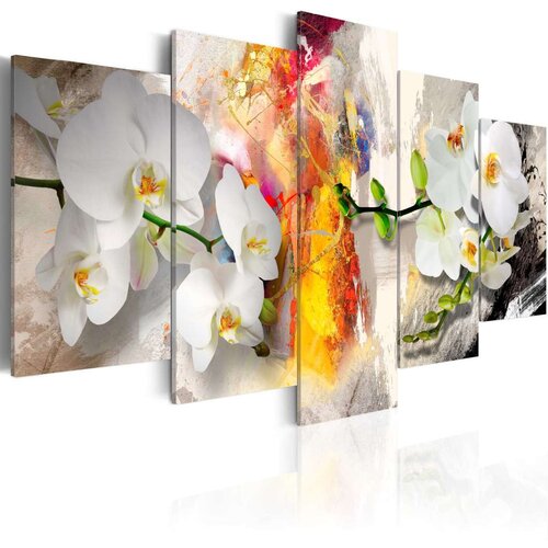  Slika - Orchid And Colors 200x100 Slike