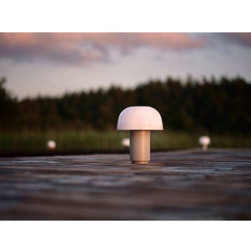 Zone Siva aluminijasta LED zatemnitvena namizna svetilka (vi&amp;scaron;ina 22 cm) Harvest &amp;ndash; Slike