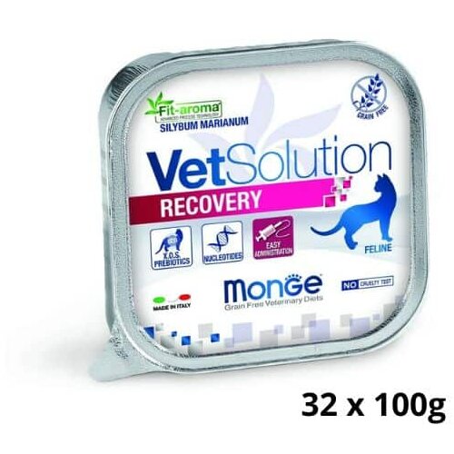 Monge vetsolution  cat Recovery - Wet Cene