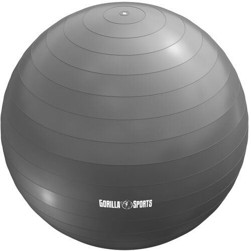  Lopta za pilates (55 cm / Siva) Cene