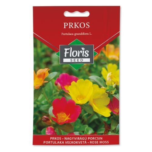 Floris seme cveće-prkos 02g FL Cene