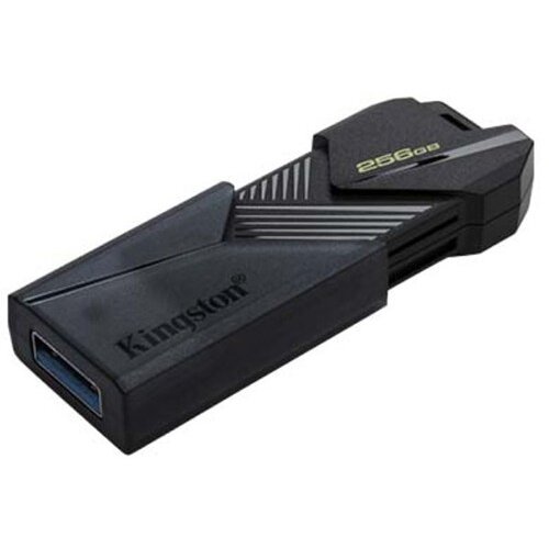  USB fles KINGSTON DTXON/256 GB Cene