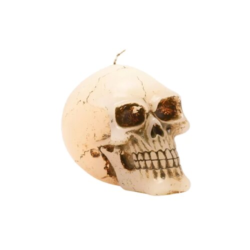 Widdop & Co. Horror - Sveća - Horror, Skull, Large Cene