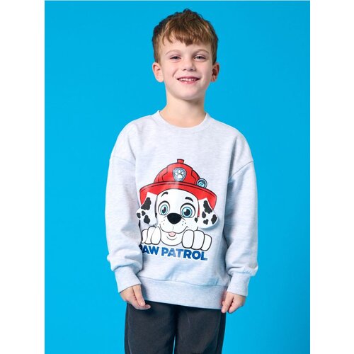 Sinsay Gornji dio trenirke Paw Patrol Cijene
