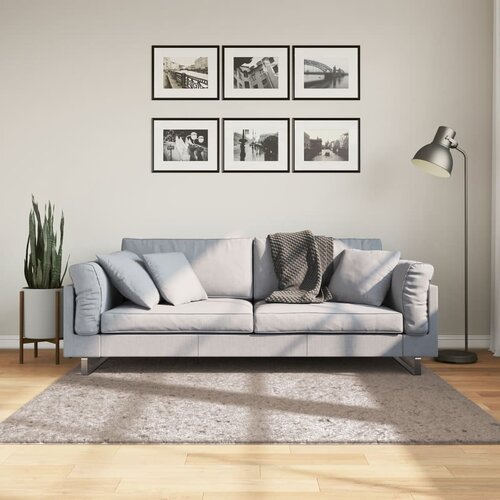 vidaXL Košata preproga moderna bež 160x160 cm Cene