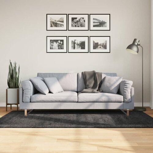 VidaXL Čupavi moderni tepih s visokim vlaknima antracit 100 x 200 cm Slike