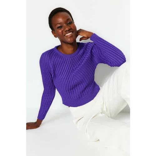 Trendyol Purple Crop Crew Neck Knitwear Sweater
