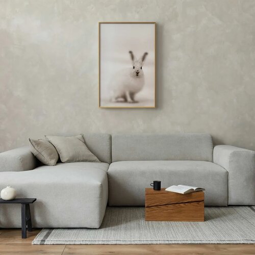  Plakat - Fearful Look 40x60 Zlatni okvir Slike