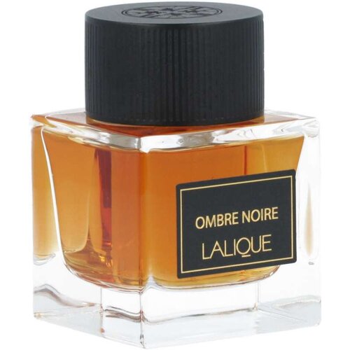 Parfem Ombre Noire parfumirana voda za moške 100 ml Cene